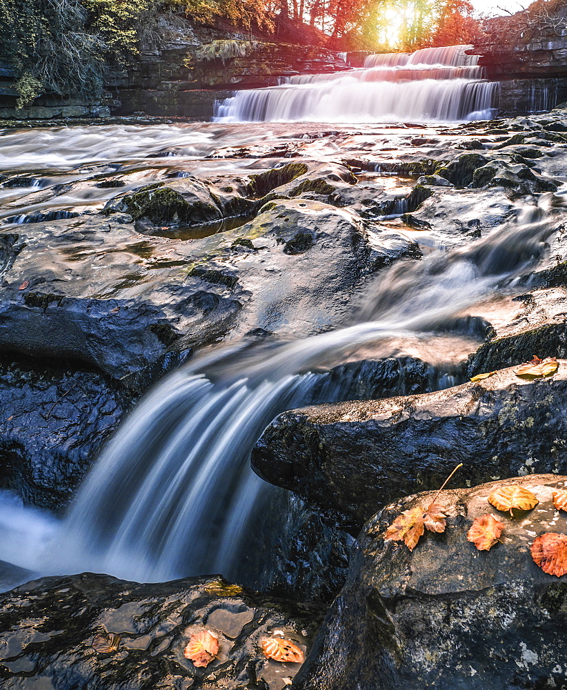 Lower Aysgarth Falls on the River Ure, autumn, Wensleydale, Yorkshire Dales National Park, North Yorkshire, England, United Kingdom, Europe