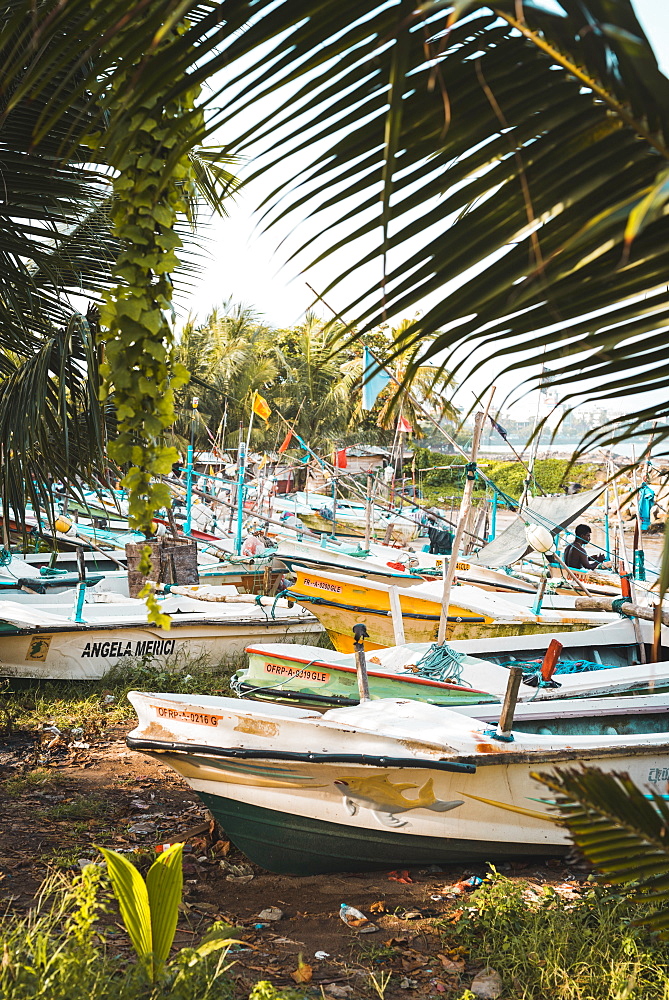 The fishing boats at Galle, Sri Lanka, Asia