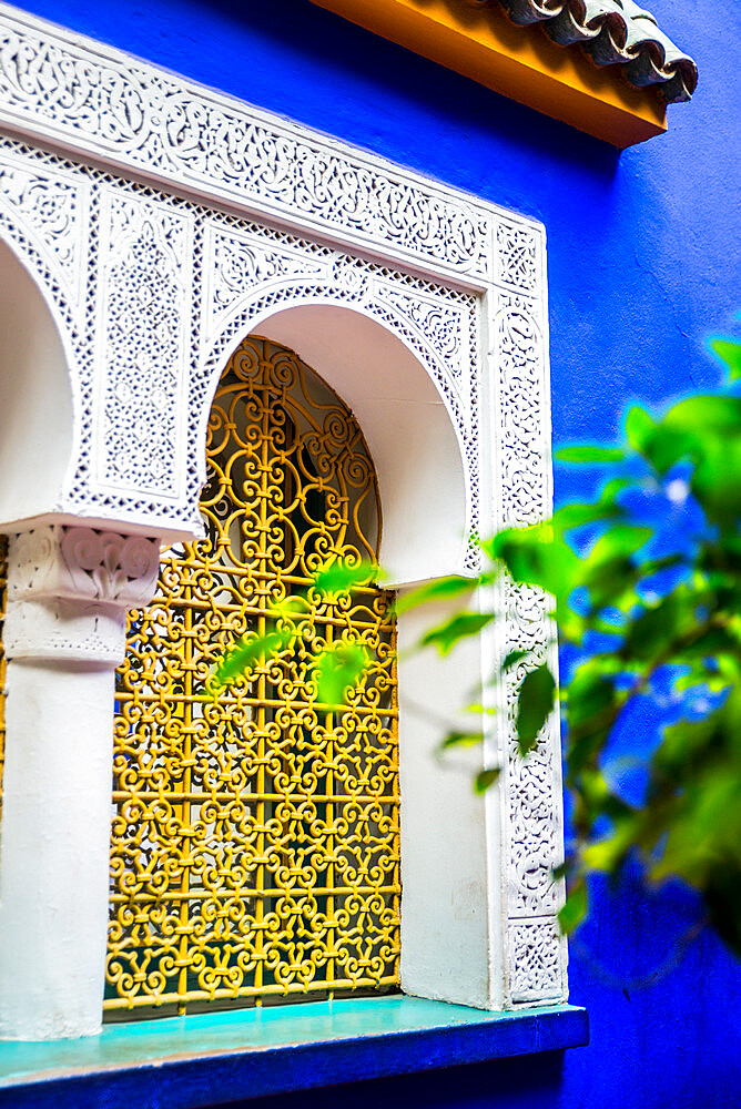 Majorelle Gardens, Marrakech, Morocco, North Africa, Africa