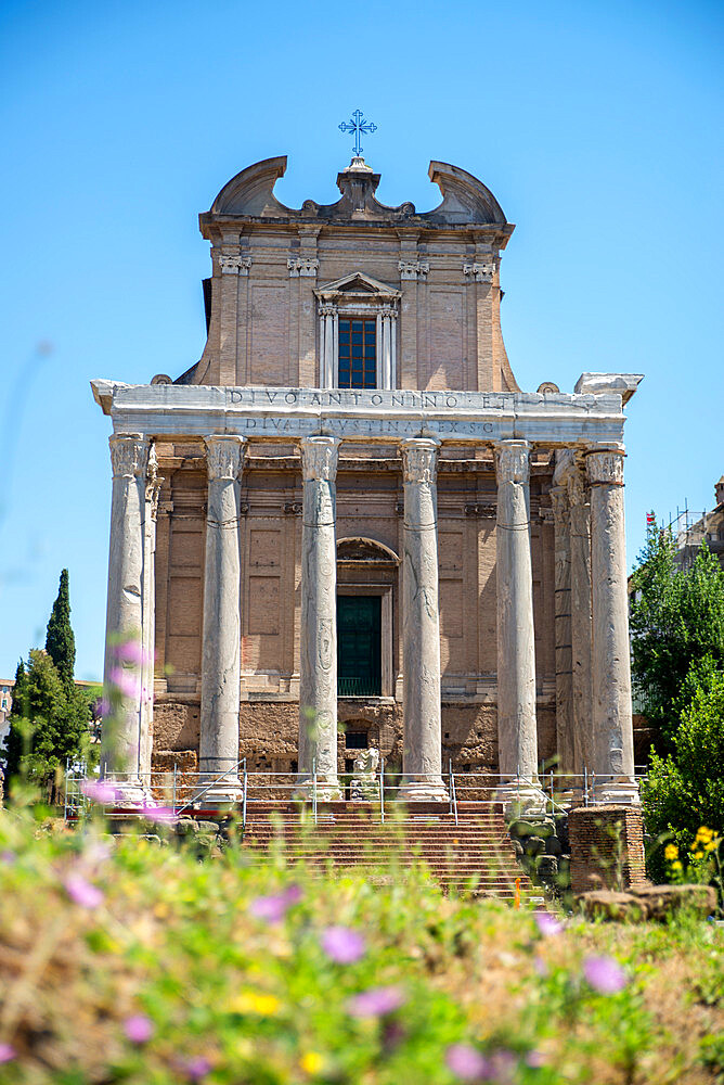 Temple of Antoninus and Faustina, Roman Forum, UNESCO World Heritage Site, Rome, Lazio, Italy, Europe