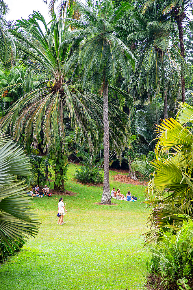 Singapore Botanic Gardens, Singapore, Southeast Asia, Asia