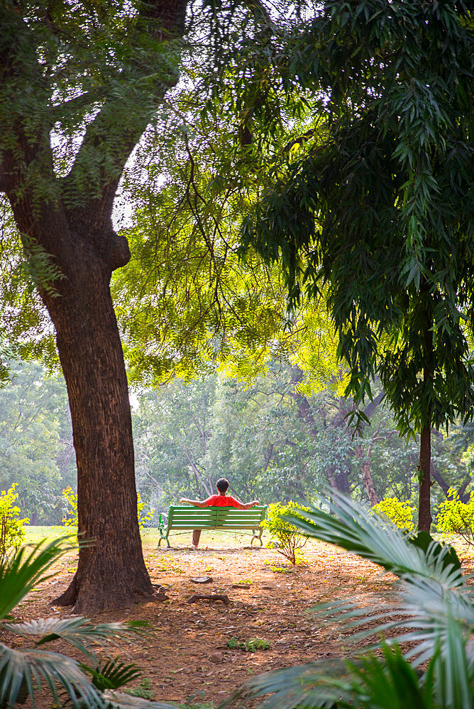 Lodhi Garden, New Delhi, India, Asia