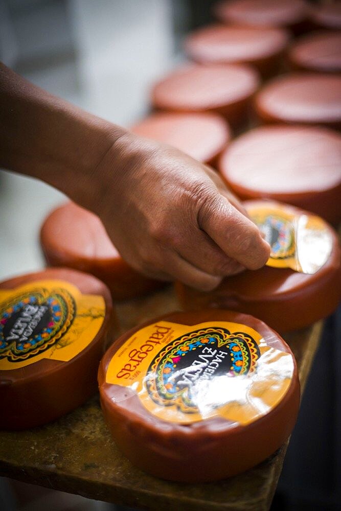 Packaging cheese at the cheese factory at Hacienda Zuleta, Imbabura, Ecuador, South America