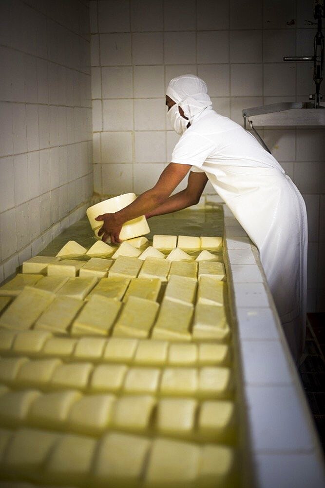 Cheese soaking in salt water at the Cheese Factory on the farm at Hacienda Zuleta, Imbabura, Ecuador, South America