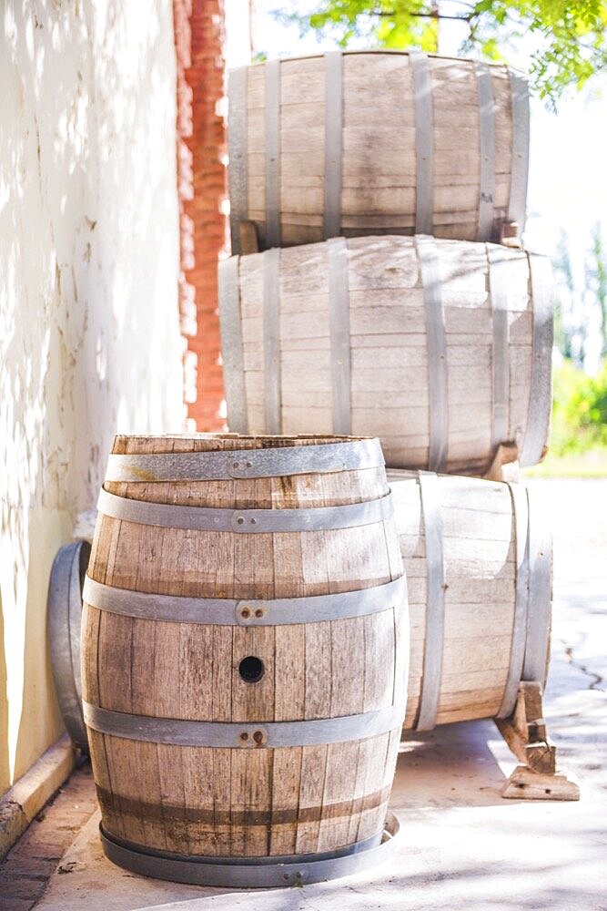 Oak wine barrels at a vineyard Bodega, winery, in the Maipu wine region of Mendoza, Mendoza Province, Argentina, South America