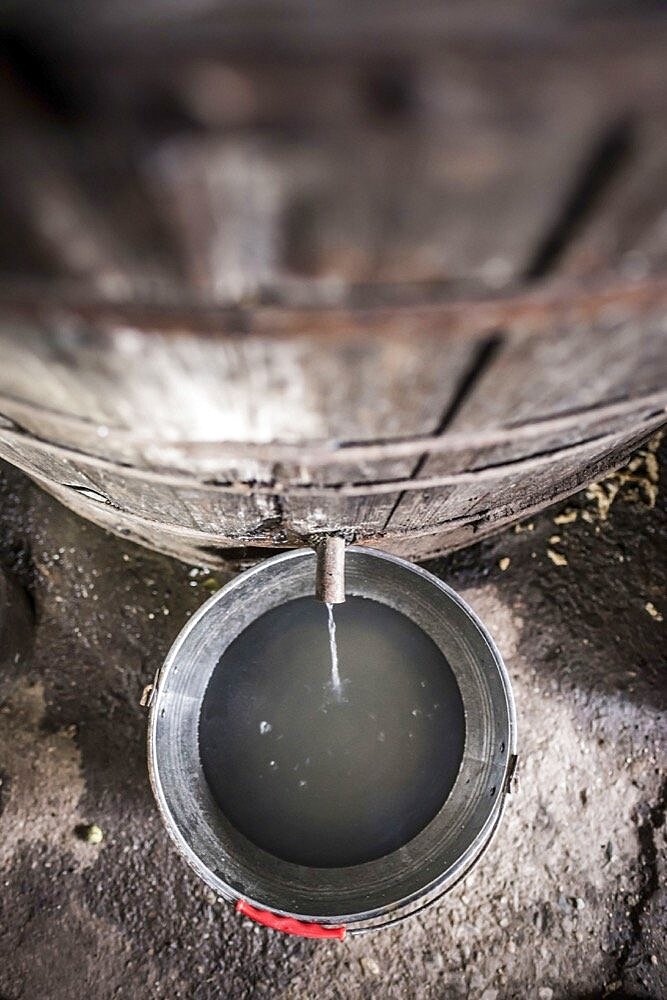 Distillery for making Palinka, a traditional Romanian fruit brandy, Sarbi, Maramures, Romania