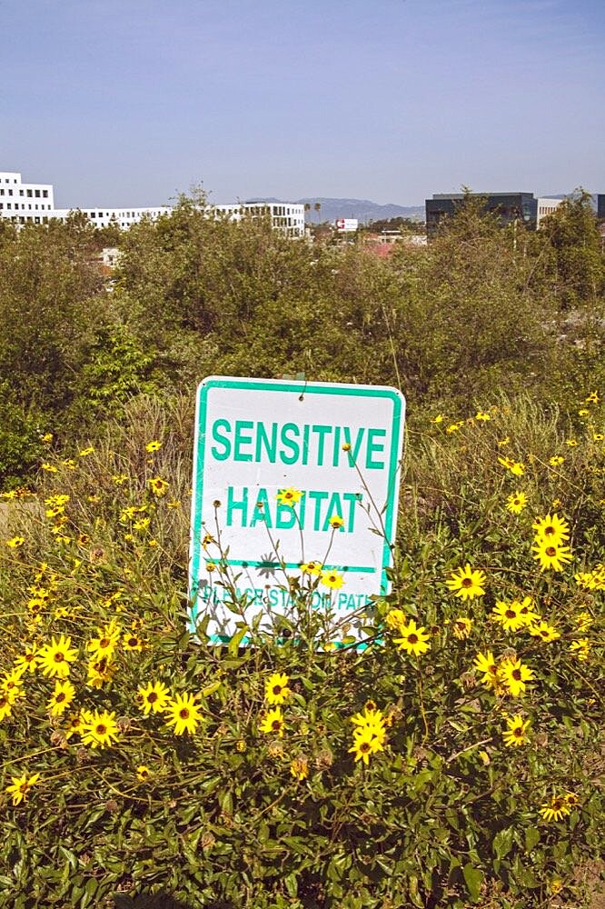 Sensitive Habitat sign in Ballona Wetlands, Playa Vista, Los Angeles