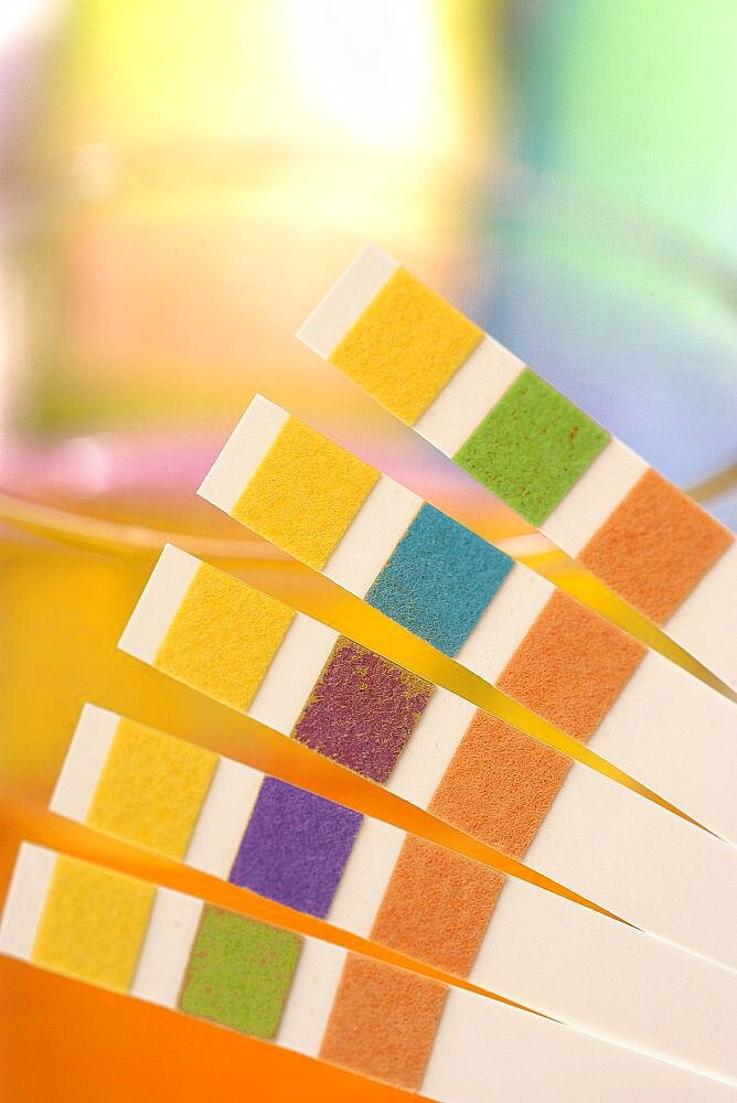 Urine Test Strip