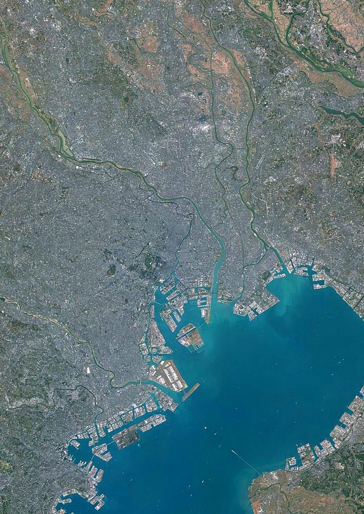 Color satellite image of Tokyo, Capital city of Japan. Image collected on December 14, 2019 by Sentinel-2 satellites.