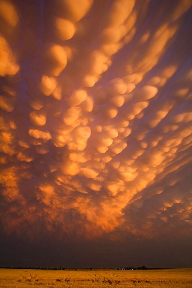 Mammatus Clouds