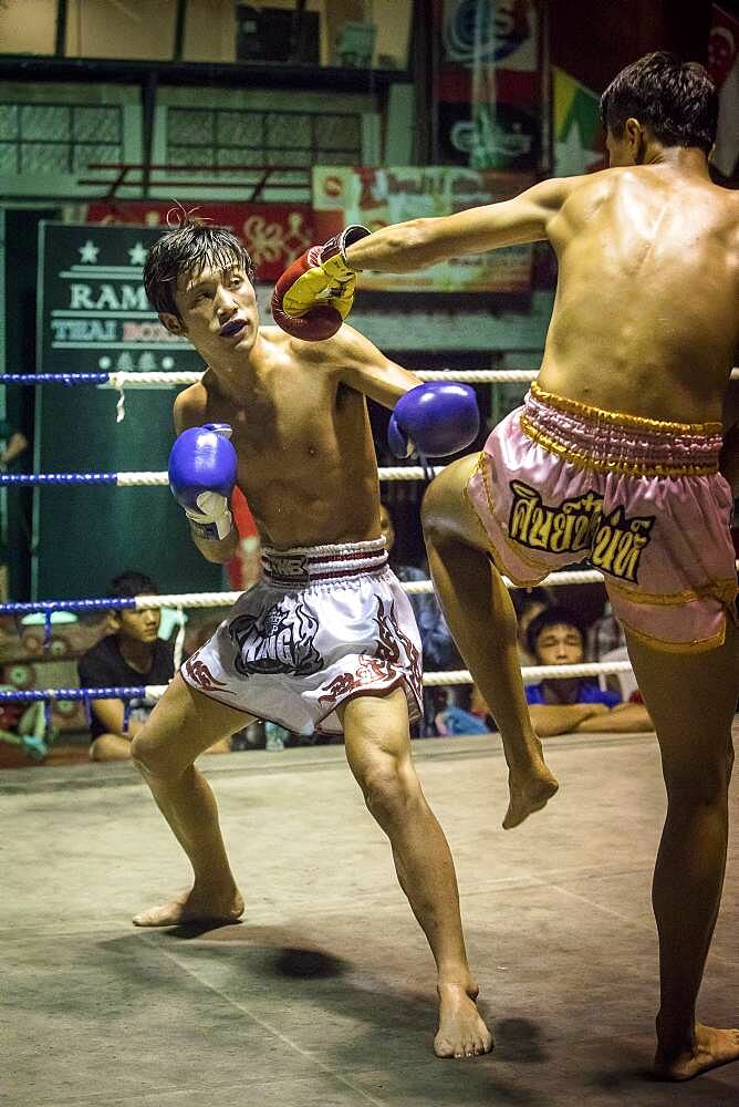 Muay Thai boxers fighting, Bangkok, Thailand