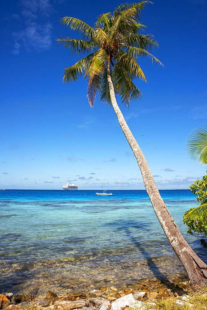 Tropical palm trees and lagoon of Fakarava,  Tuamotus Archipelago French Polynesia, Tuamotu Islands, South Pacific. Summer vacation concept.  Tropical coconut palm trees, coral gardens, beautiful turquoise clear water and blue sky with some white clouds. Fakarava, an atoll in the west of the Tuamotu group, French Polynesia