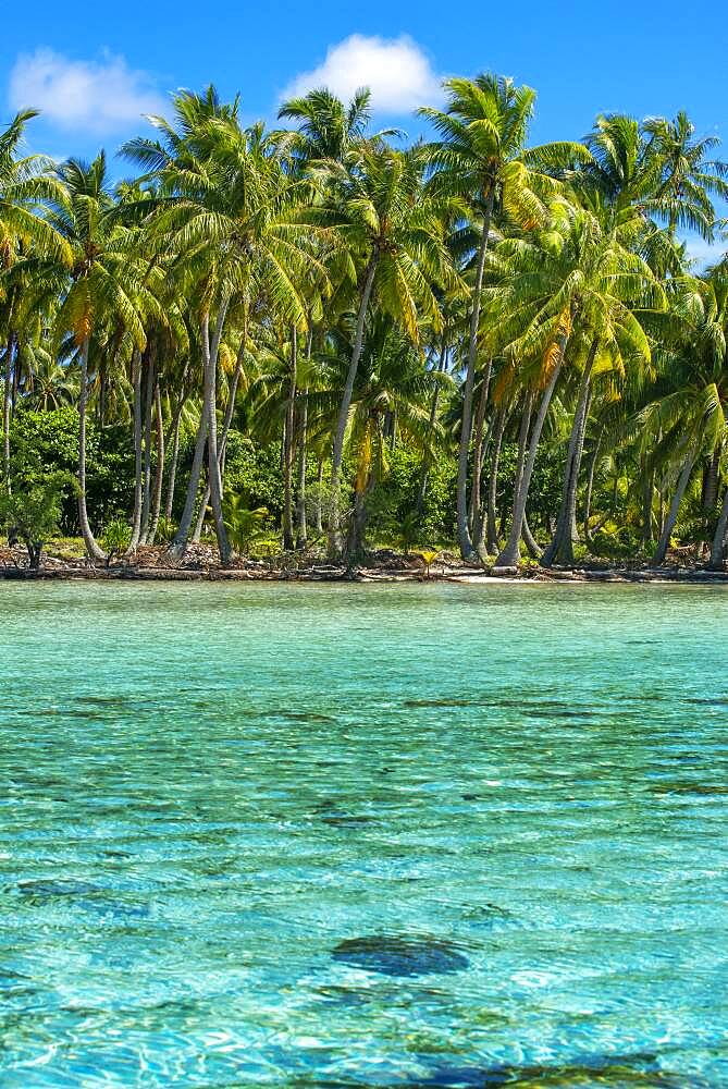 Tropical paradise seascape Taha'a island landscape, French Polynesia. Motu Mahana palm trees at the beach, Taha'a, Society Islands, French Polynesia, South Pacific.