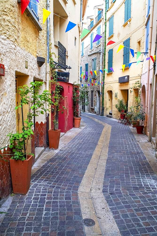 Street in the medieval town of Collioure in the south of France Languedoc-Roussillon Cote Vermeille Midi Pyrenees Occitanie Europe