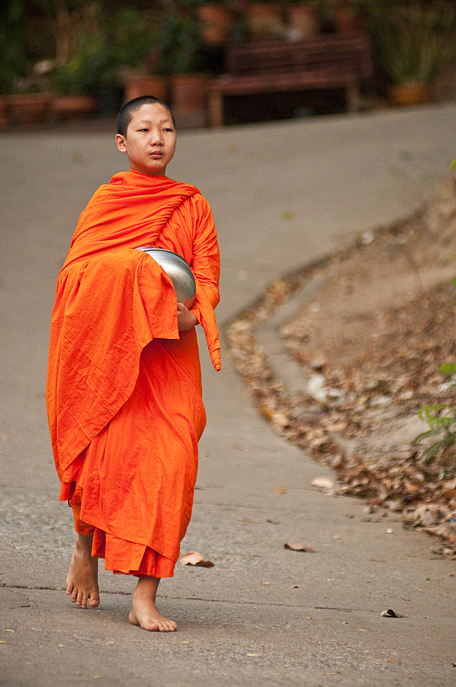 Young Buddhist monk on morning procession for offerings of food; Huay Kaew area, Chiang Mai, Thailand.