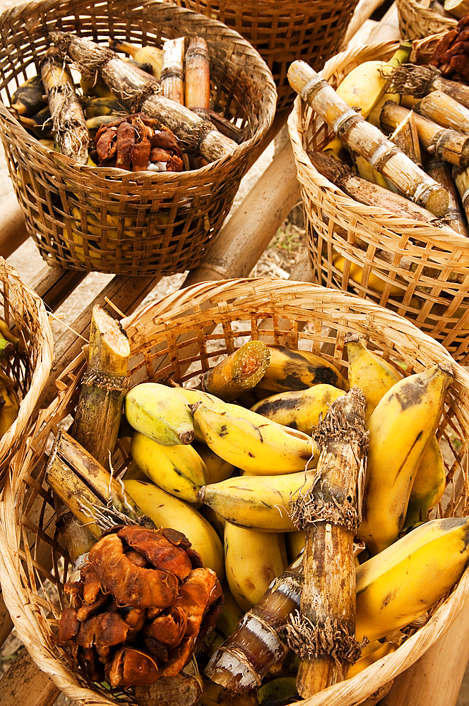 Baskets of food for elephants - bananas, sugar cane and tamarind - at Patara Elephant Farm; Chiang Mai province, Thailand.