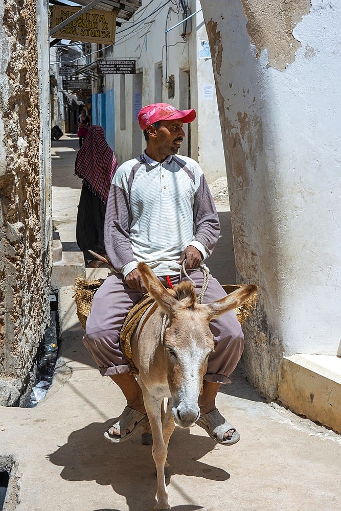 Man riding a donkey on the narrow street of Lamu town in Lamu Island, Kenya.