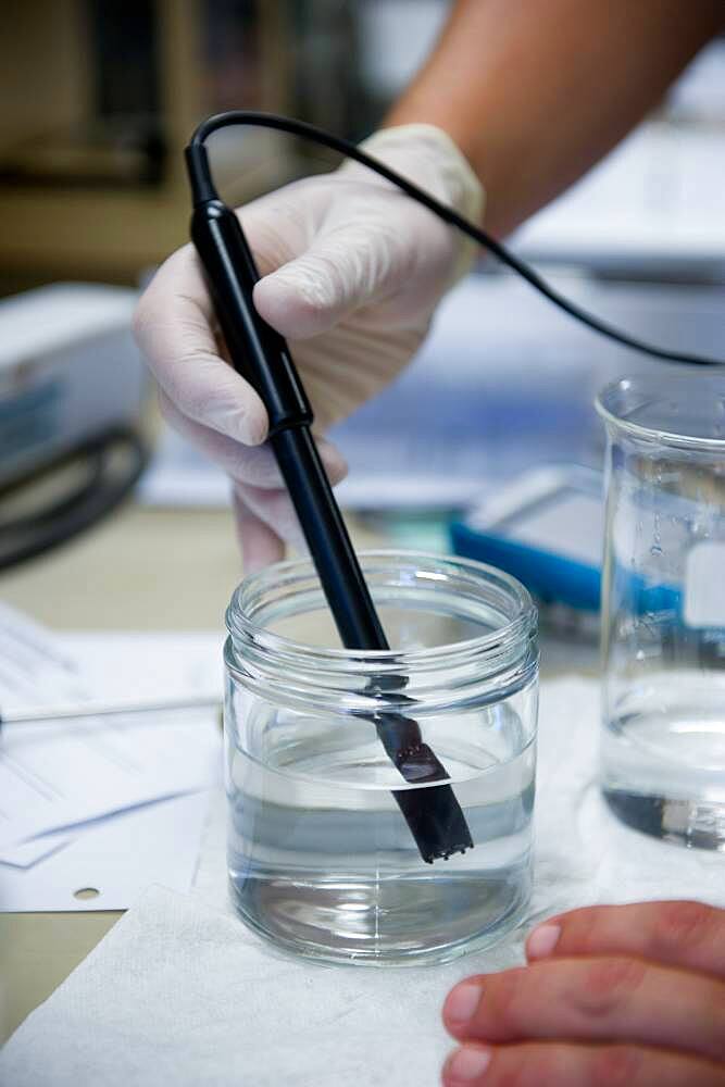 Hand wearing latex glove testing water with instrument in lab at UMCP Greenhouse