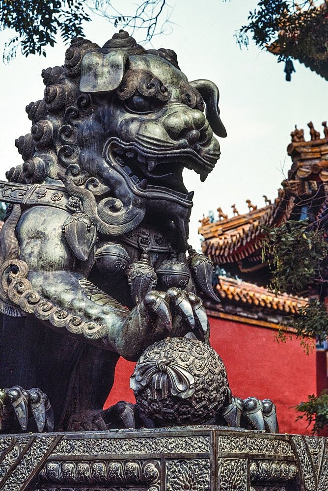 A bronze guardian lion statue in the Lama Temple complex, a Buddhist temple in Beijing, China.