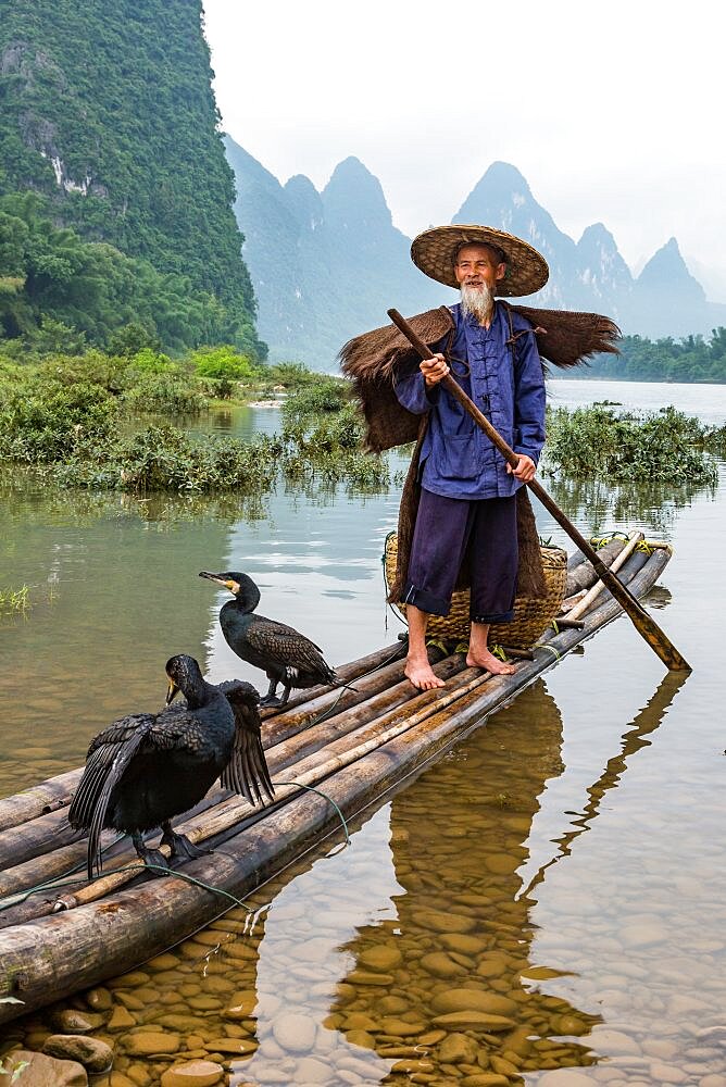 A traditional cormorant fisherman on a bamboo raft with his cormorants on the Li River, Xingping, China.