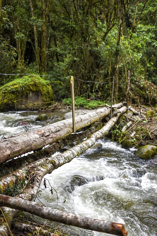 The Cocora Valley (Spanish: Valle de Cocora) is a valley in the department of Quindio, just outside the pretty little town of Salento, in the country of Colombia