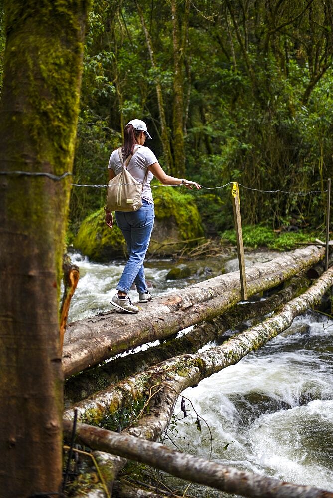 The Cocora Valley (Spanish: Valle de Cocora) is a valley in the department of Quindio, just outside the pretty little town of Salento, in the country of Colombia,