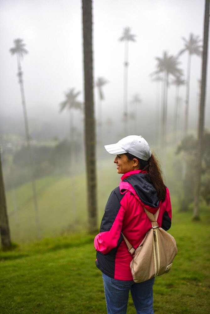 The Cocora Valley (Spanish: Valle de Cocora) is a valley in the department of Quindio, just outside the pretty little town of Salento, in the country of Colombia,