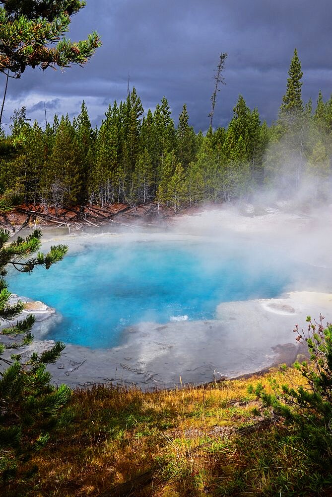 Norris Geyser Basin in Yellowstone National Park, USA