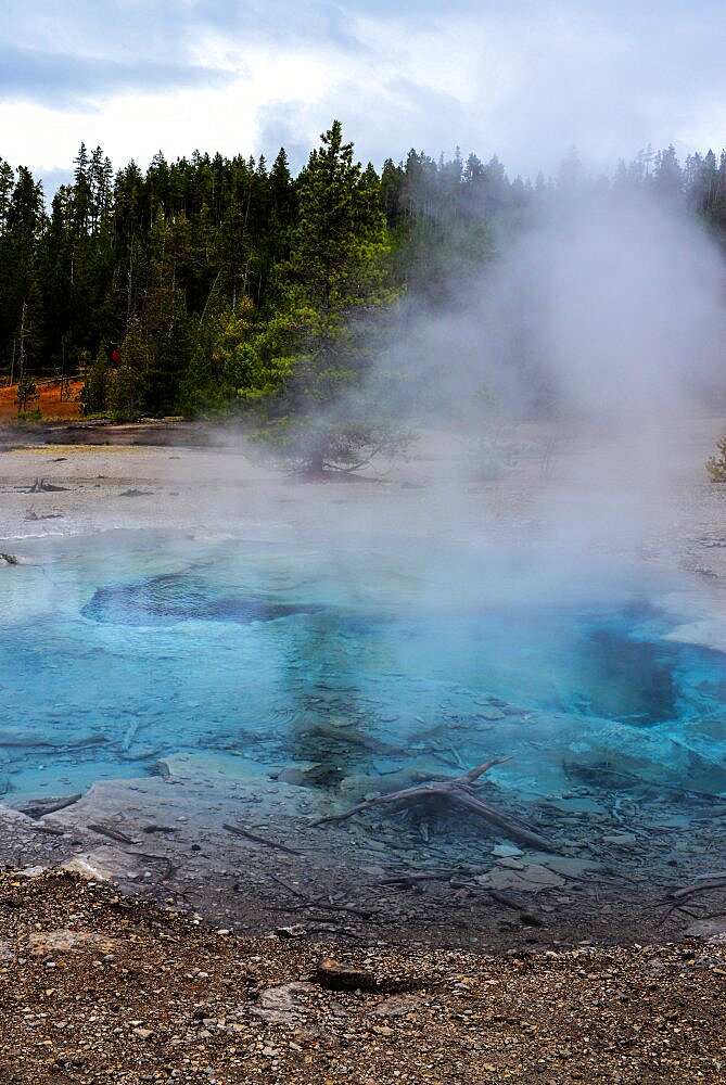 Norris Geyser Basin in Yellowstone National Park, USA