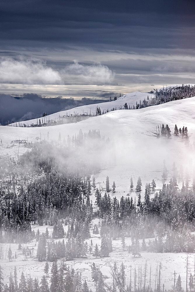 Winter landscape in Yellowstone National Park, USA