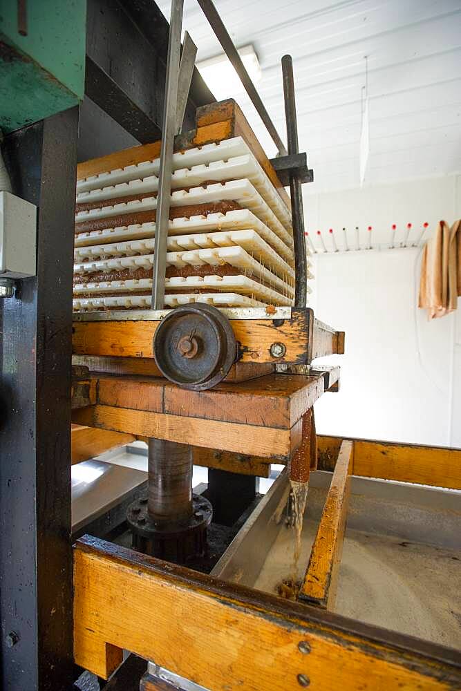 Apples, apple juice and cider press at a hard cider distillery