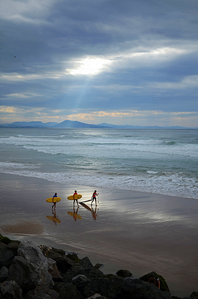 Surfers on Cote des Basques beach at sunset, Biarritz