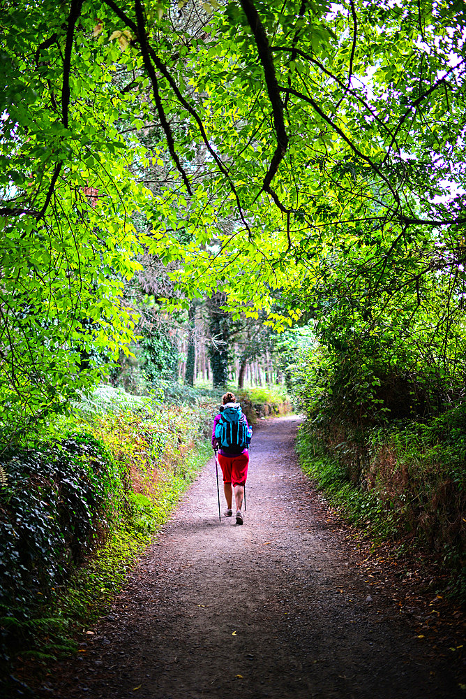 Young female pilgrim walking the Way of Saint James (Camino de Santiago), Galicia, Spain