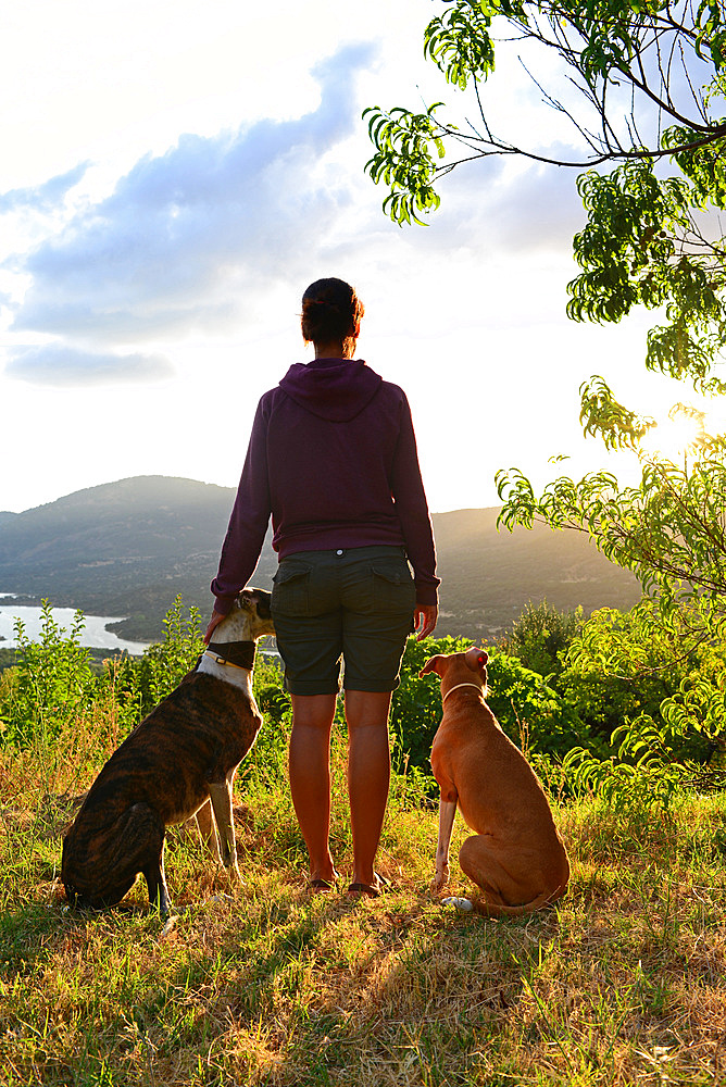 Young woman with her dogs at sunset