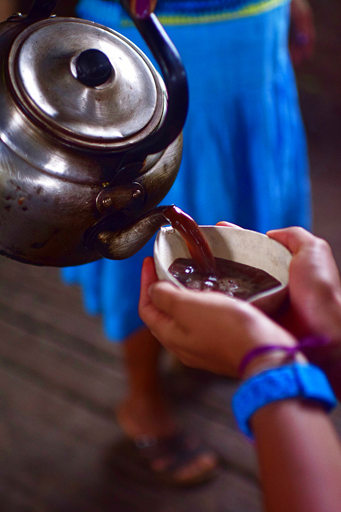 Preparing natural cacao drink at Bribri tribe house, A day with the Bribri, indigenous people in Lim?n Province of Costa Rica,