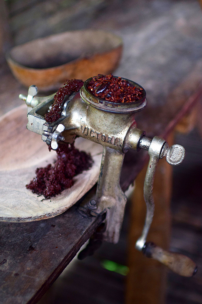 Preparing natural cacao drink at Bribri tribe house, A day with the Bribri, indigenous people in Lim?n Province of Costa Rica,