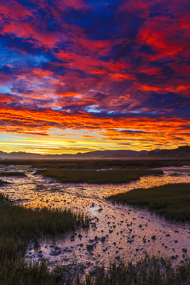 Daybrake in the marshes. Escalante. Marismas de Santoￃﾱa, Victoria y Joyel Natural Park. Cantabria, Spain, Europe.