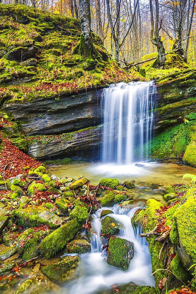 Waterfall in a beechwood. Portillo de la Sia Pass. Cantabria, Spain, Europe.