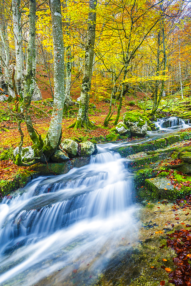 Waterfall in a beechwood. Portillo de la Sia Pass. Cantabria, Spain, Europe.