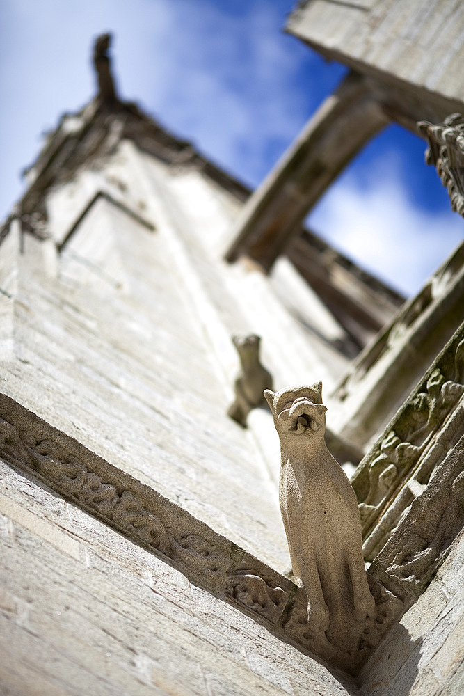 Gargoyle, Cathedral of Quimper, departament of Finistere, region of Brittany, France