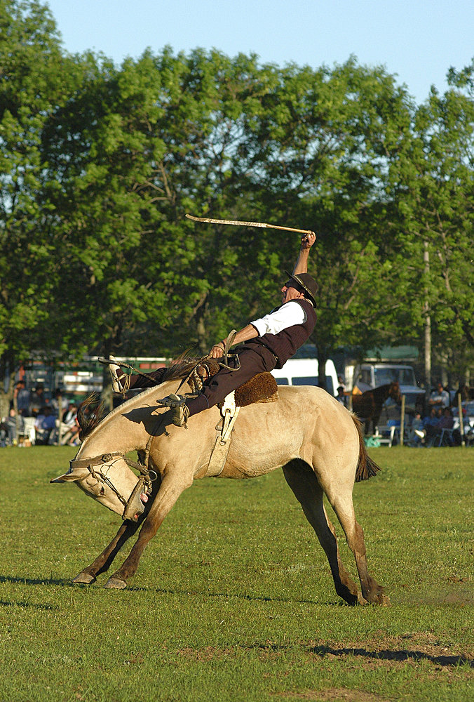 Fiesta de la Tradicion, San Antonio de Areco, Provincia de Buenos Aires, Argentina