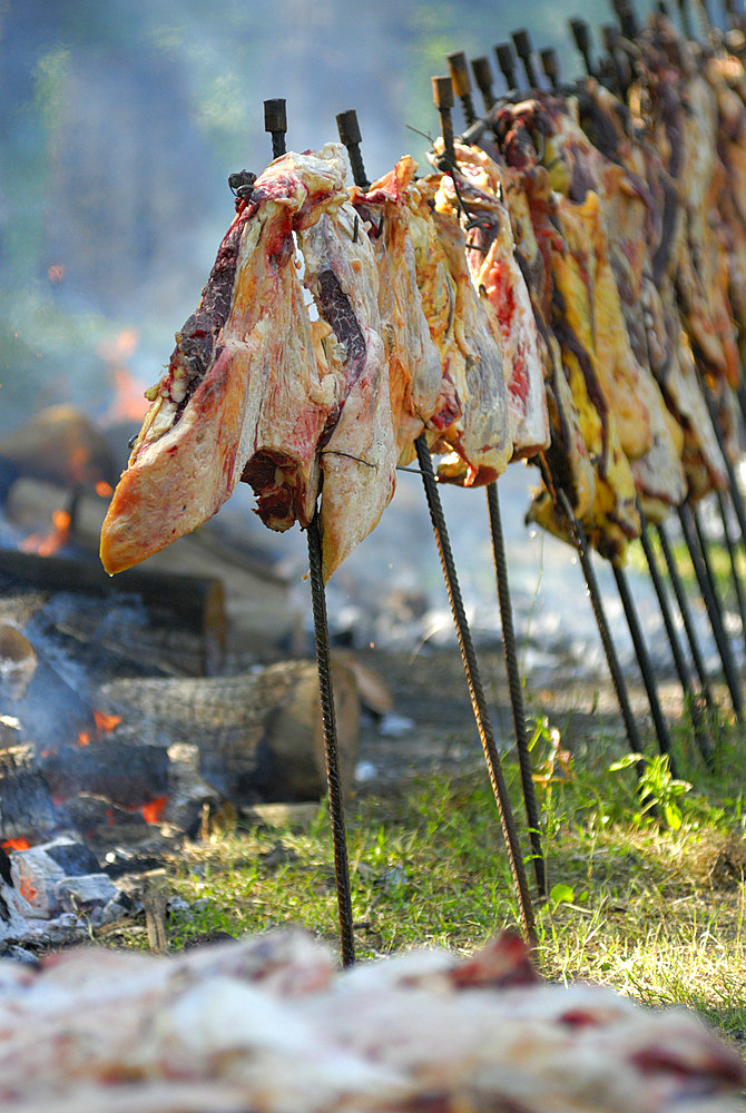 Fiesta de la Tradicion, San Antonio de Areco, Provincia de Buenos Aires, Argentina, South America