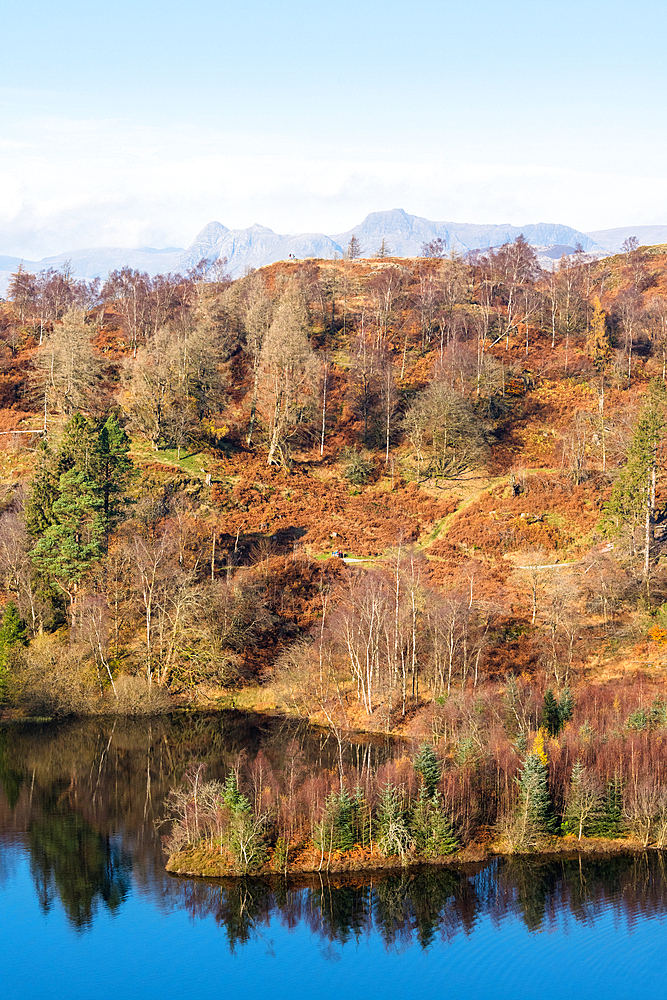 Fells around Tarn Hows, Lake District National Park, UNESCO World Heritage Site, Cumbria, England, United Kingdom, Europe