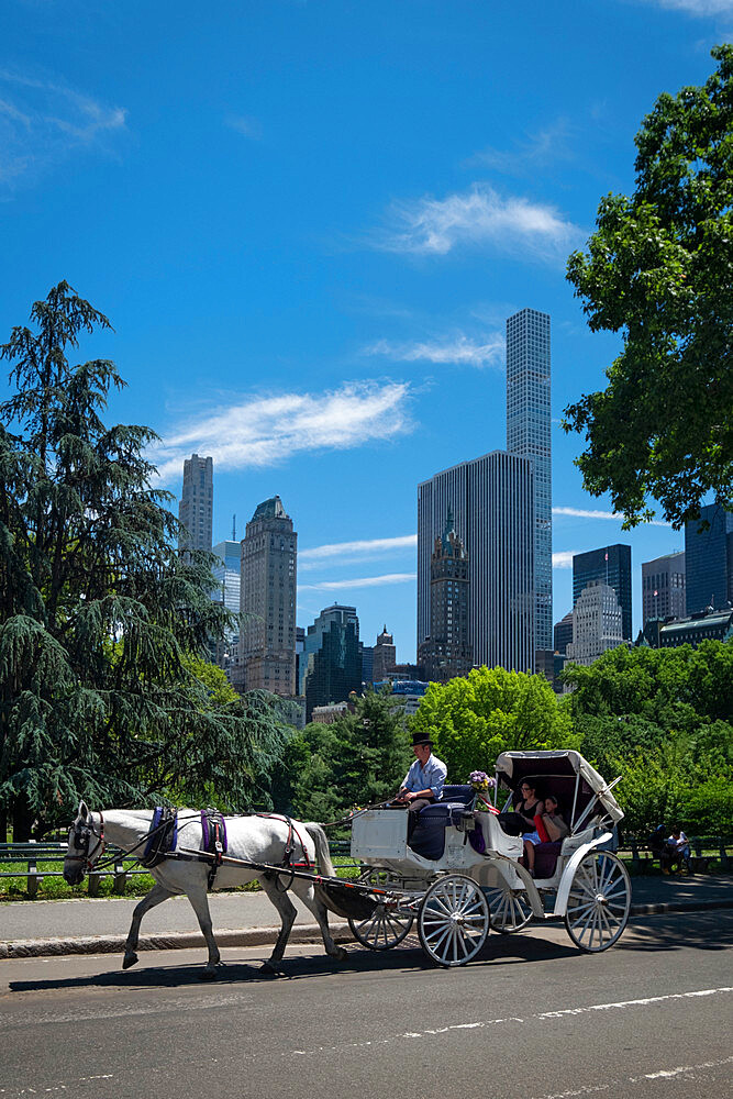 Horse Carriage Ride through Central Park with New York city skyline behind, Central Park, Manhattan, New York, United States of America, North America