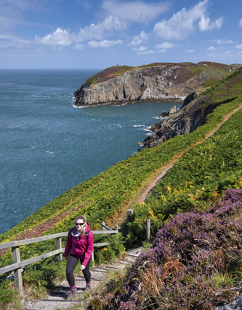 Young woman walking the Anglesey Coast Path in summer, near Cemaes, Isle of Anglesey, North Wales, Wales, United Kingdom, Europe