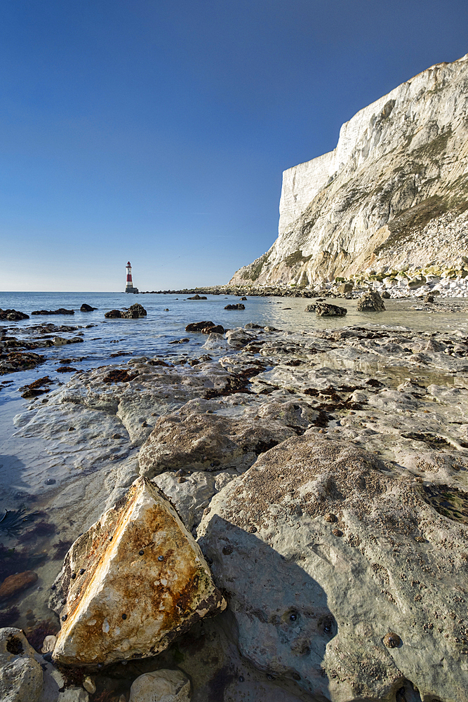 Chalk boulder below Beachy Head and Beachy Head Lighthouse, near Eastbourne, South Downs National Park, East Sussex, England, United Kingdom, Europe