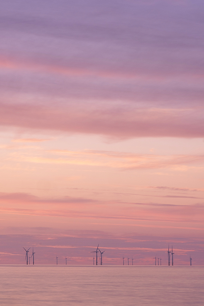 Wind Turbines of the Gwynt y Mor Offshore Wind Farm at sunset, Irish Sea, North Wales Coast, UK