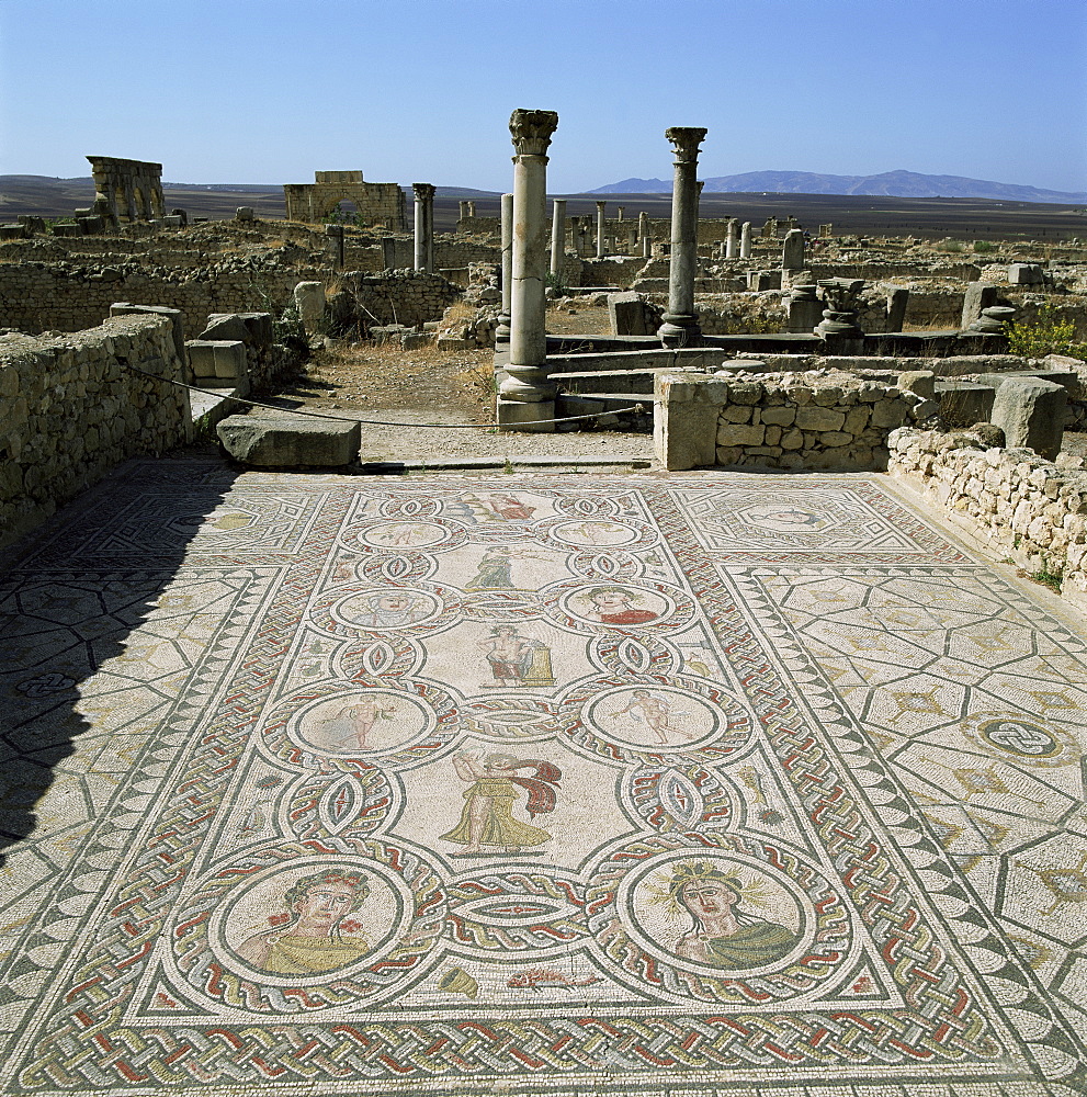 Mosaics from the 3rd century, Volubilis, UNESCO World Heritage Site, Morocco, North Africa, Africa