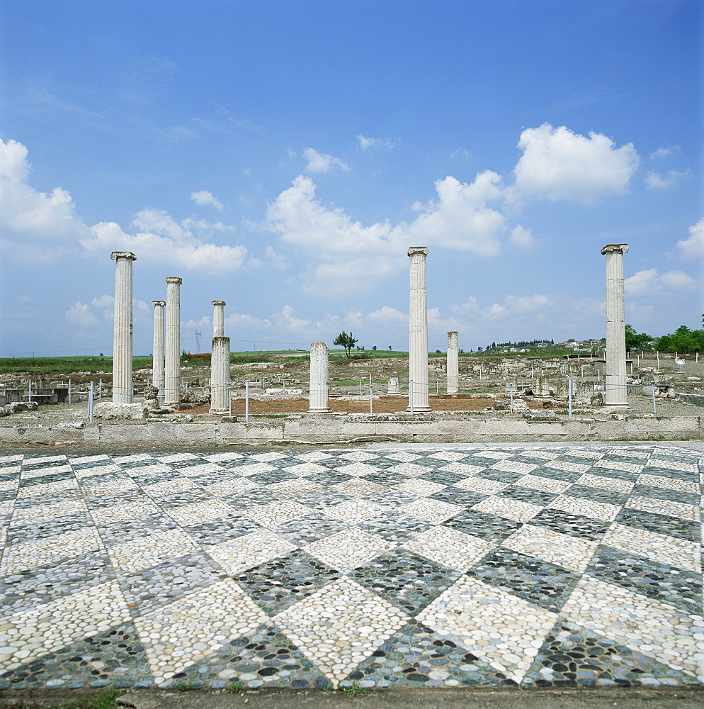 House of the Lion Hunt with exquisite floor mosaics, Pella, Greece, Europe