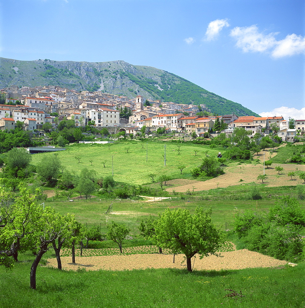 Fields below the town of Ortona dei Marsi in Abruzzo, Italy, Europe